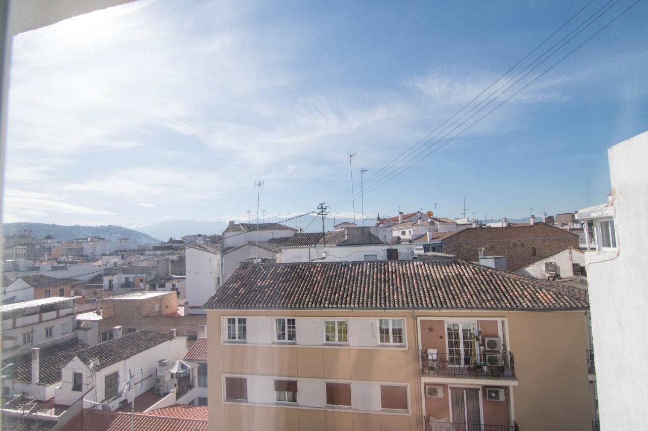 En Zona Centro De Appartement